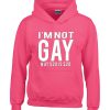 I'm Not Gay But $20 is $20 Hoodie