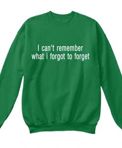 I Cant Remember What I Forgot to Forget Sweatshirt