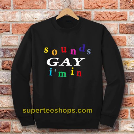 Sound Gay I'm In Sweatshirt