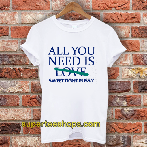 All You Need Is Sweet Tight Pussy T Shirt