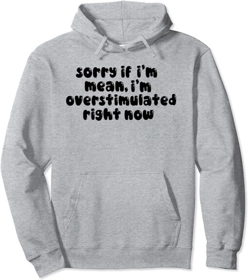 sorry if im mean im Overstimulated right now Hoodie thd